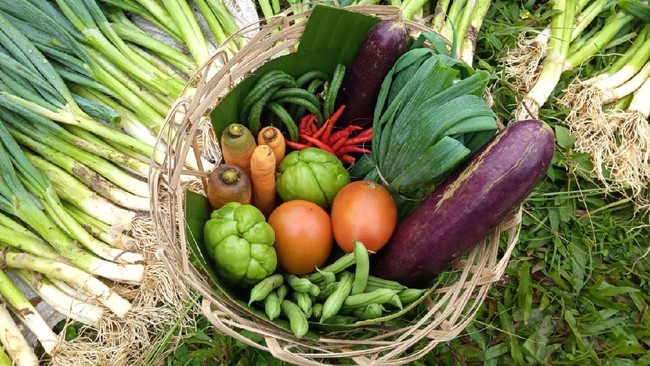 Harga sayur-sayuran naik hingga 30 persen di Malaysia karena musim hujan berkepanjangan merusak hasil panen Negeri Jiran.