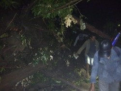 Tertimbun Longsor, Jalan Provinsi dan 2 Desa di Cianjur Lumpuh