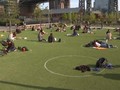 VIDEO: Dibatasi Lingkaran, Warga New York Berjemur di Taman