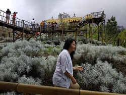 Taman Edelweis yang Tidak Biasa di Bali