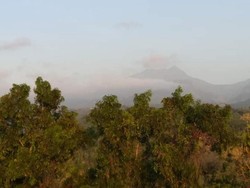 4 Fakta Menarik Gunung Wilis, Surga Tersembunyi Bagi Pendaki
