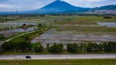 LALU LINTAS DI TOL CIPALI SEPI Kendaraan melintas di Tol Cipali Palimanan, Cirebon, Jawa Barat, Kamis (21/5/2020). Menjelang Lebaran, salah satu titik kepadatan arus mudik di ruas tol Cikopo-Palimanan (Cipali) terpantau sepi dikarenakan adanya larangan mudik dari Pemerintah demi mencegah penyebaran wabah COVID-19. ANTARA FOTO/Nova Wahyudi/nz