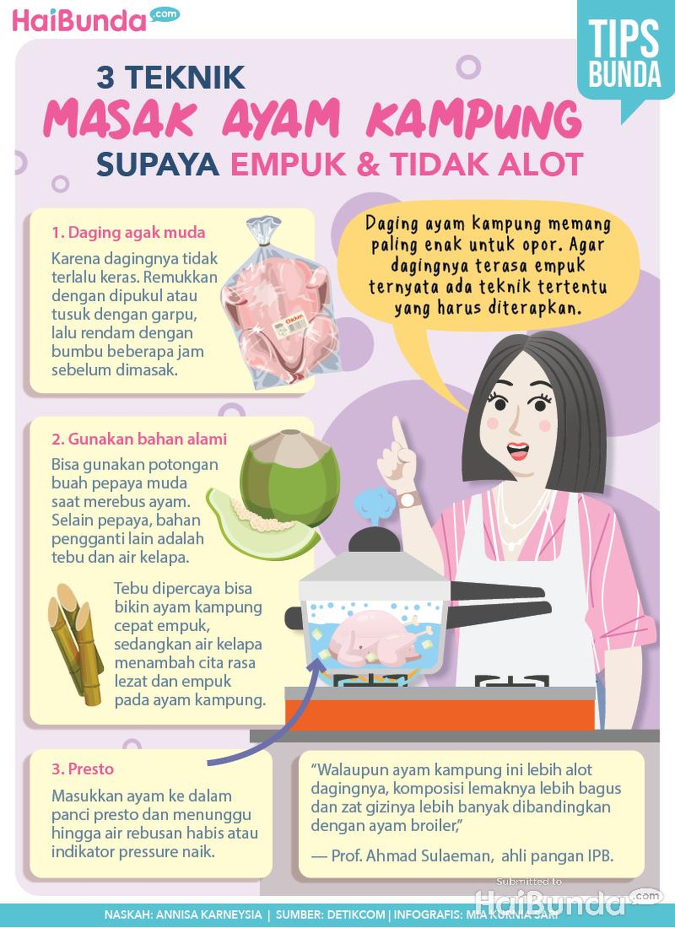 Infografis teknik masak ayam kampung