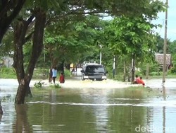 Sungai Meluap, Rumah dan Sawah di Polman Kembali Terendam Banjir