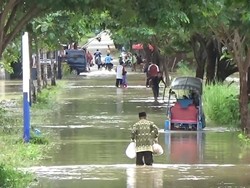Banjir Merendam Rumah hingga Sawah Warga di Polman