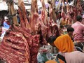 Pengamat Dukung Erick Thohir Beli Peternakan Sapi di Belgia