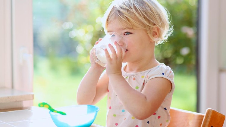 Happy little child, blonde curly toddler girl, enjoying healthy breakfast eating oatmeal porridge and drinking milk sitting in high chair at bright sunny kitchen next to big garden view window