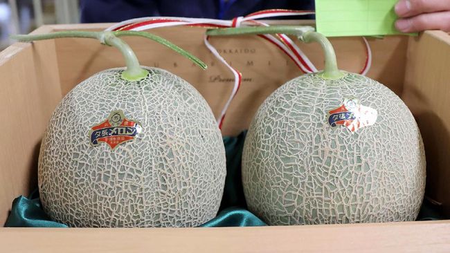 A man shows a pair of melons produced in Yubari which was sold for 120,000 yen (1,100 USD) during the season's first auction in Sapporo, Hokkaido prefecture on May 25, 2020. - The pair of premium Japanese melons that sold last year for five million yen (46,000 USD) went for only a small slice of that sum on May 25, as the coronavirus bites hard. (Photo by STR / JIJI PRESS / AFP) / Japan OUT