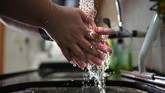 Karantina dan Gelang Untuk Warga yang Kembali ke Hong Kong Associated Press reporter Zen Soo washes her hands at a sink while wearing a quarantine wristband during her two-week quarantine at home in Hong Kong, April 17, 2020. Hong Kong issued quarantine wristbands to monitor returning residents of the city while they serve their mandatory 14-day quarantine, in a bid to curb local transmissions of COVID-19 during the pandemic. (AP Photo/Vincent Yu)