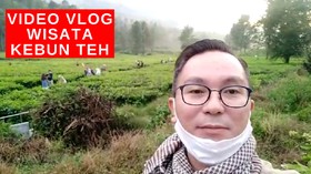 VIDEO: Vlog Kebun Teh Jadi Tujuan Wisata di Kawasan Puncak