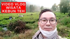 VIDEO: Vlog Kebun Teh Jadi Tujuan Wisata di Kawasan Puncak
