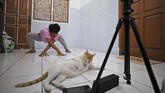 Panggung Digital Untuk Penari Indonesia Dancer Siko Setyanto performs a dance while recording it using an action camera mounted on a tripod at his one-bedroom rented house in Jakarta, Indonesia Thursday, May 14, 2020. Two Indonesian choreographers are helping fellow dancers who lost their jobs due to the new coronavirus outbreak in the country by setting up a YouTube channel as a platform where dancers, choreographers and dance teachers can perform, then receive donation from viewers. (AP Photo/Dita Alangkara)