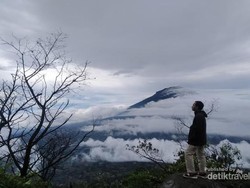 5 Pilihan Homestay di Wonosobo dengan View Gunung Sindoro