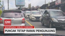VIDEO: Warga Pilih Kebun Teh Jadi Tempat Liburan Alternatif