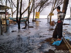 Gelombang Tinggi Terjang Pantai Kulon Progo, Nelayan Libur Melaut