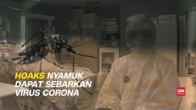 VIDEO: Hoaks Nyamuk Sebarkan Virus Corona