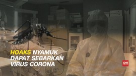 VIDEO: Hoaks Nyamuk Sebarkan Virus Corona