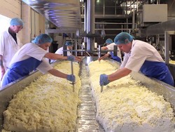 Imbas Corona, Ratusan Pabrik Keju Parmesan Terpaksa Kurangi Produksi