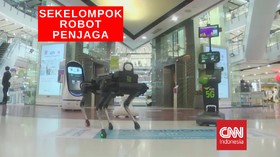VIDEO: Sekelompok Robot Akan Sapa Pengunjung Mal
