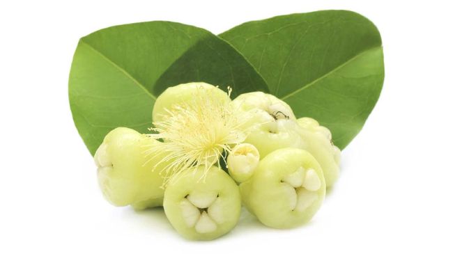 Fresh water apple or rose apple with green leaves