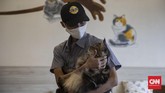 Sunyi Kafe Kucing di Tengah Pandemi Karyawan melakukan perawatan terhadap kucing peliharaan Kopi Cat Cafe Kemang, Jakarta, Sabtu, 30 Mei 2020. Menanggapi rencana dicabutnya status PSBB pada 5 Juni mendatang, Kopi Cat Cafe menyiapkan sejumlah protokol kesehatan seperti membatasi jumlah pengunjung, mewajibkan menggunakan masker, menyediakan hand sanitizer, dan membersihkan kucing setiap satu jam sekali sebagai cara mencegah penyebaran virus Covid-19. CNN Indonesia/Bisma Septalisma