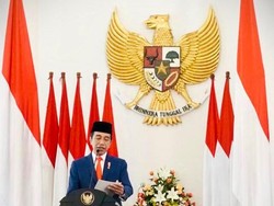 Instruksi Penting Jokowi Cegah Karhutla Agar Tak Pontang-panting