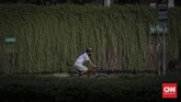 Bersepeda Olahraga Alternatif Saat Pandemi Pengendara sepeda melintas di kawasan Sudirman-Thamrin, Jakarta, Senin, 1 Juni 2020. Bersepeda menjadi alternatif olahraga bagi warga semenjak berlakunya status PSBB yang berdampak pada tutupnya sejumlah fasilitas olahraga di Jakarta. CNN Indonesia/Bisma Septalisma