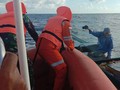 19 Selamat dari Kapal Tenggelam NTT, 5 Dievakuasi di Kendari