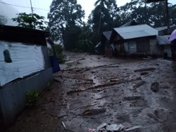 Pembabatan Hutan Perparah Bencana di Indonesia
