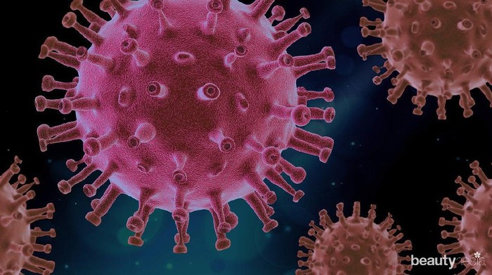 Cara Hindari Penyebaran Virus Corona di Tempat Kerja Cara Hindari Penyebaran Virus Corona di Tempat Kerja
