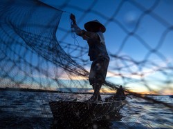 Nelayan di Pinrang Hilang Saat Cari Telur Ikan, Tim SAR Dikerahkan