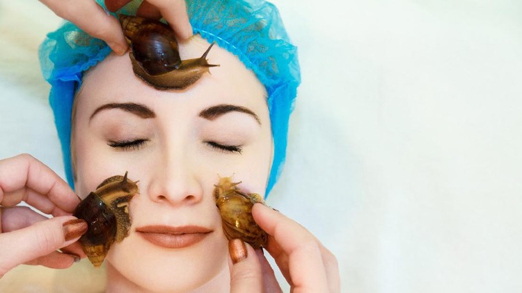 Lifting and facial massage of a young woman rejuvenates the skin in an unconventional way of the Achatina snail. Achatina snails massage the face and rejuvenate the skin. There is a copyspace for the text.