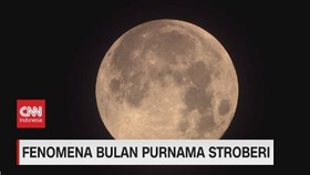 VIDEO: Fenomena Bulan Purnama Stroberi