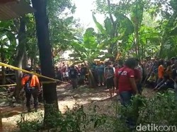 Pembunuh Wanita yang Mayatnya Tertutup Jerami Gantung Diri Setelah Membunuh