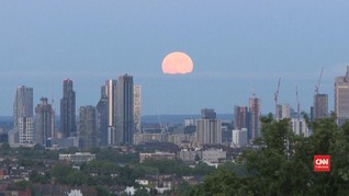VIDEO: Melihat Keindahan Bulan Stroberi