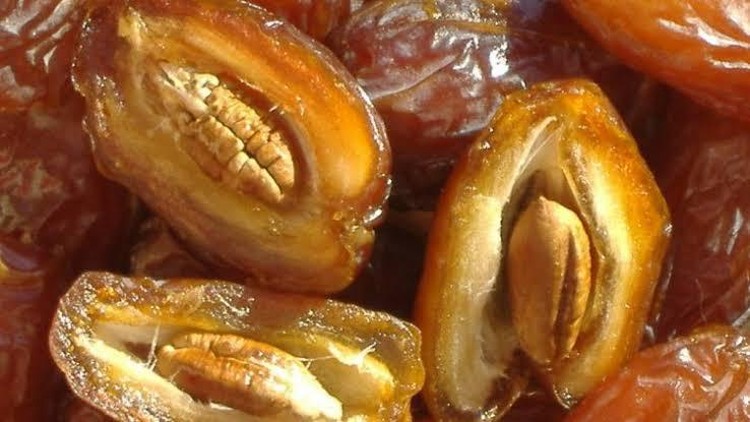 biji kurma