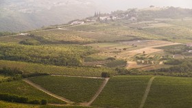 Istria Kelebihan Stok Wine Akibat Pandemi Virus Corona