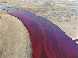 Sungai di Rusia Jadi Merah, Imbas Tumpahan Minyak Diesel 20 Ribu Ton