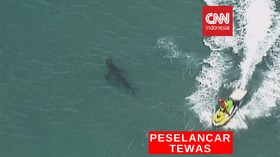 VIDEO: Pria 60 Tahun Tewas Diserang Hiu