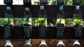 Cara Mudah Menanam Hidroponik dengan Botol Bekas
