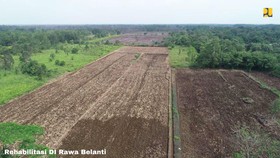 KemenPUPR Targetkan Optimalisasi 165.000 Ha Lahan Kalteng