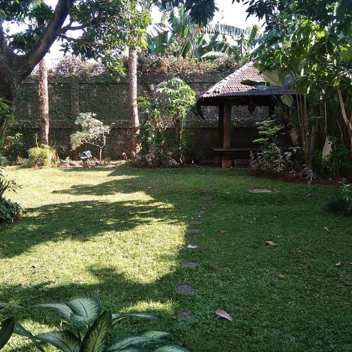 <p>Bagian belakang halaman rumah juga dibangun pondok kecil, cocok untuk bersantai kala senggang. (Foto: Instagram @getyourhomehere)</p>