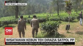 VIDEO: Wisatawan Kebun Teh Dirazia Satpol PP