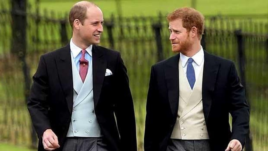 Pangeran William dan Pangeran Harry