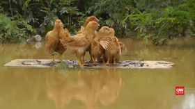 VIDEO: Banjir di China Selatan Telan Puluhan Korban Jiwa