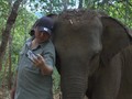 VIDEO: Gajah Thailand Terpaksa Migrasi Akibat Pandemi Covid
