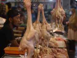 Harga Ayam Potong di Bandung Tembus Rp 45 Ribu