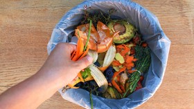 Cara Membuat Pupuk Kompos dari Sampah Dapur