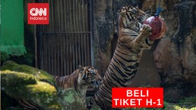 VIDEO: Masuk Ragunan Wajib Beli Tiket H-1 Sebelum Berkunjung