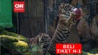 VIDEO: Masuk Ragunan Wajib Beli Tiket H-1 Sebelum Berkunjung